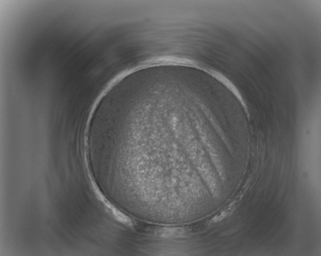 X0000082161381200702092206