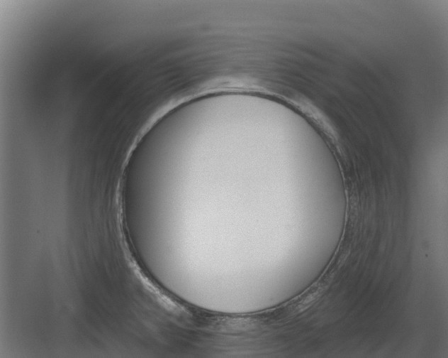 X0000082161382200702092206