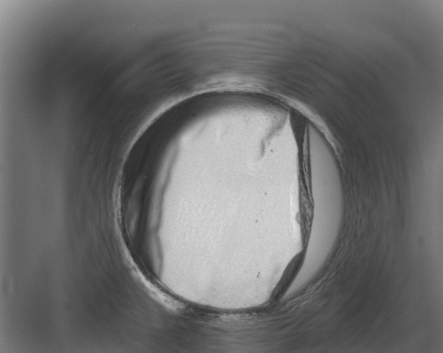 X0000082161383200702092206