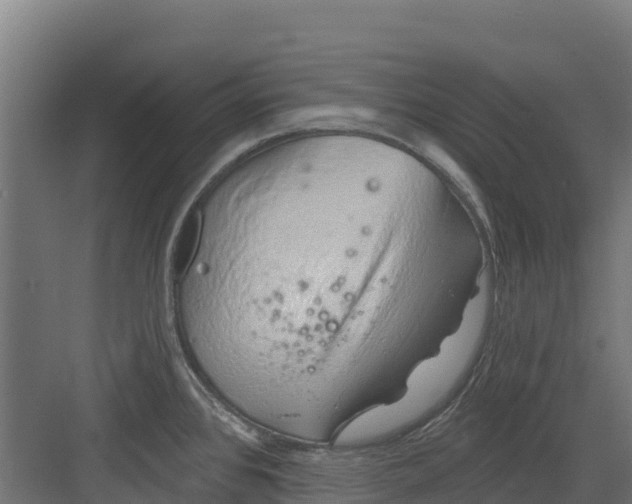 X0000082161384200702092206