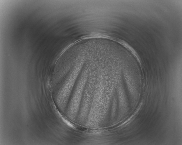 X0000082161385200702092206