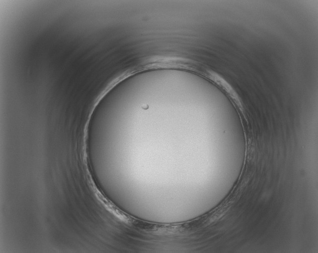 X0000082161386200702092206