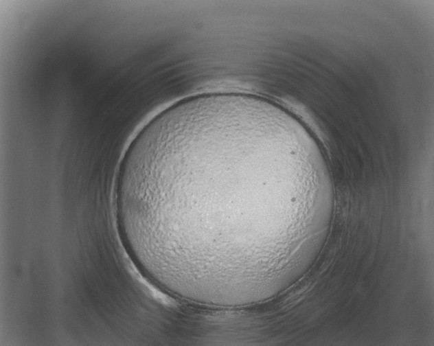 X0000082161387200702092206