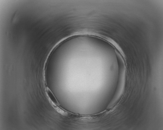 X0000082161388200702092206