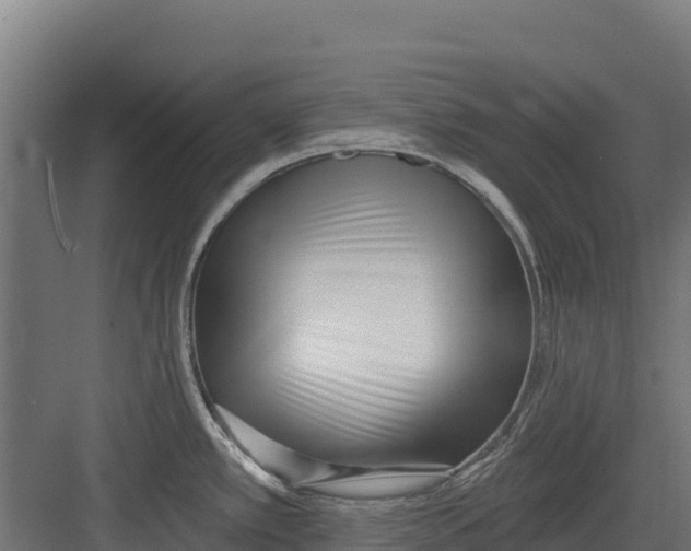 X0000082161389200702092206