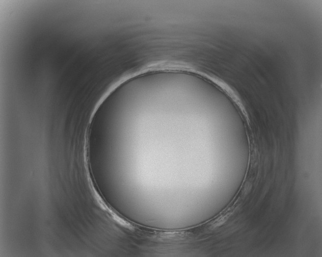 X0000082161390200702092206