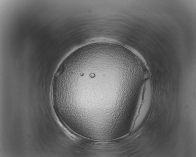 X0000082161391200702092206