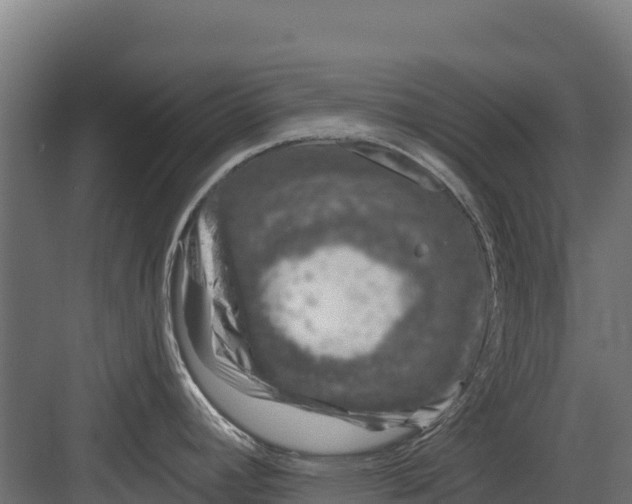 X0000082161392200702092206