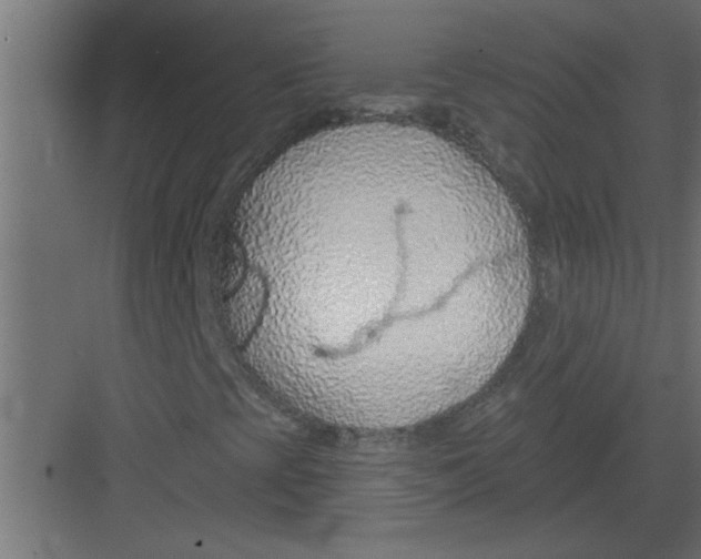 X0000082161393200702092205