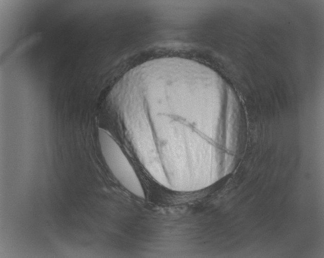 X0000082161397200702092205