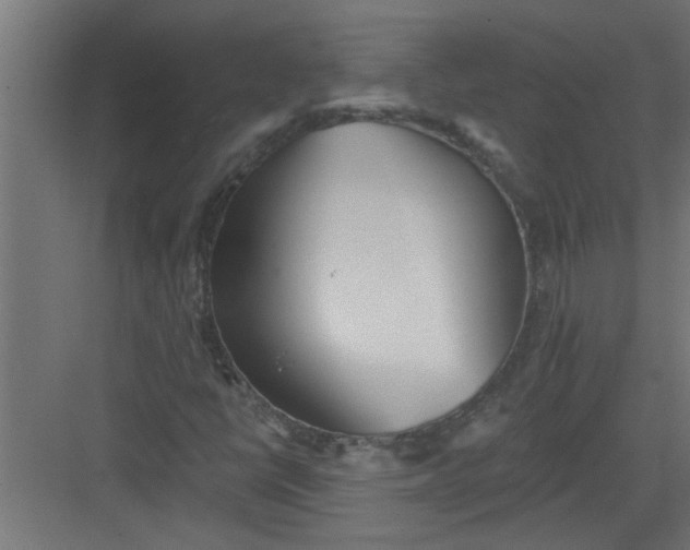 X0000082161398200702092205