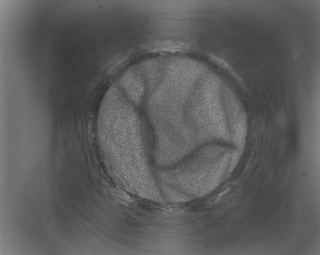 X0000082161399200702092205