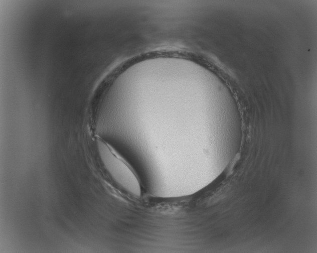 X0000082161400200702092205