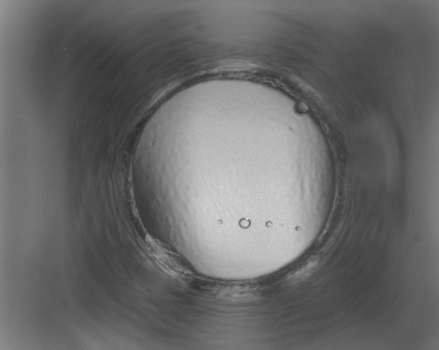 X0000082161401200702092206