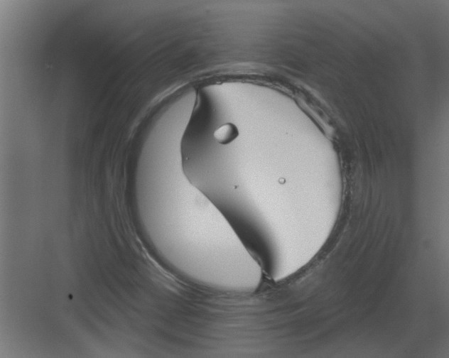 X0000082161402200702092206