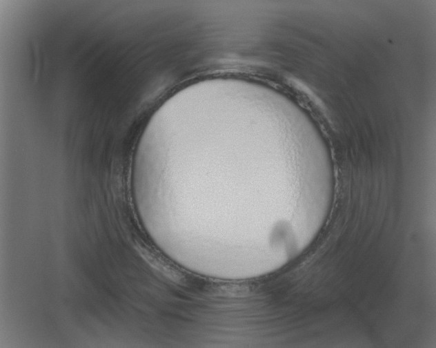 X0000082161403200702092206