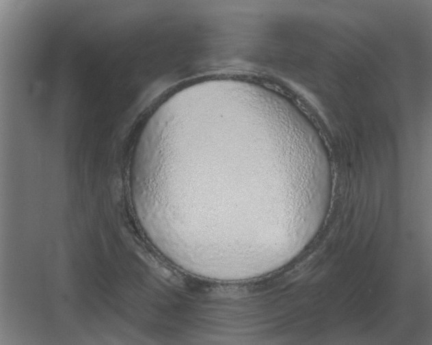 X0000082161407200702092206