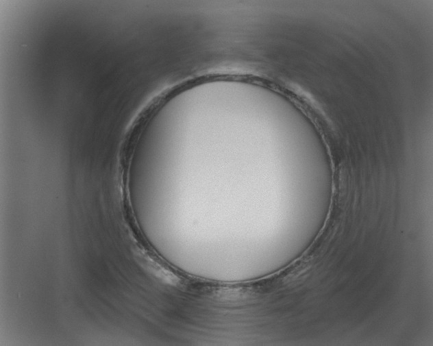 X0000082161408200702092206