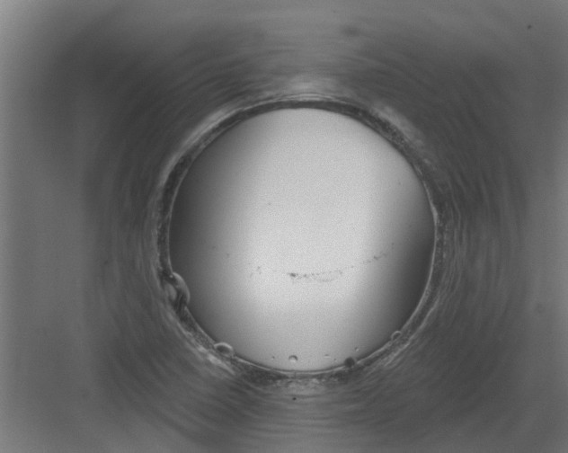 X0000082161410200702092206