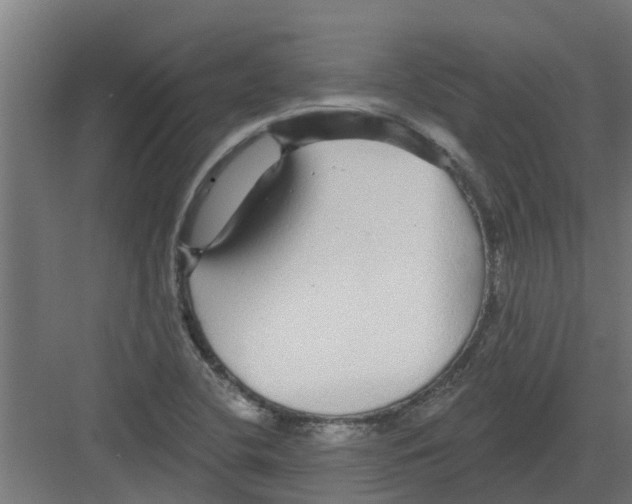 X0000082161412200702092206