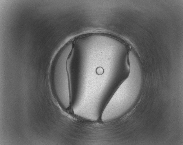 X0000082161414200702092206