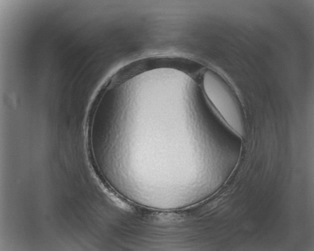 X0000082161416200702092206