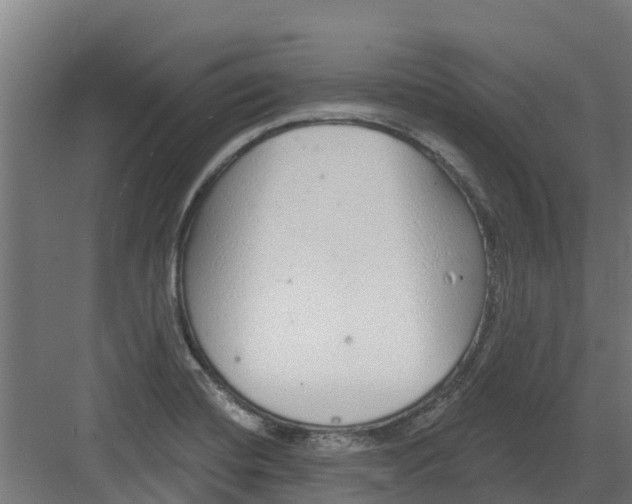 X0000082161420200702092206