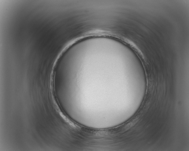 X0000082161421200702092206