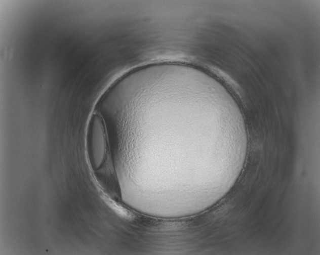 X0000082161423200702092206