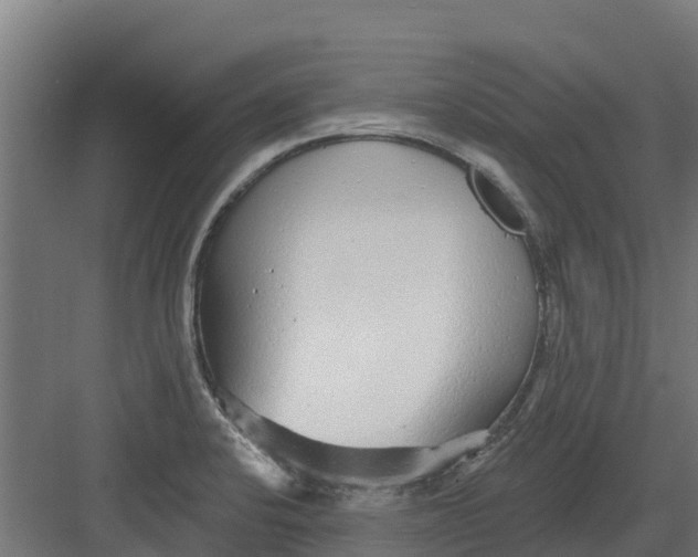 X0000082161424200702092206