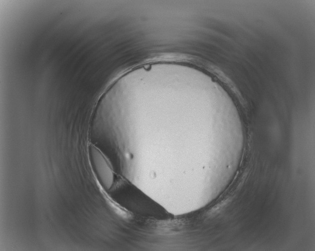 X0000082161425200702092206