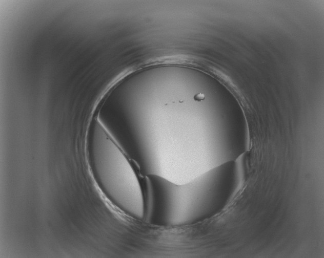 X0000082161426200702092206