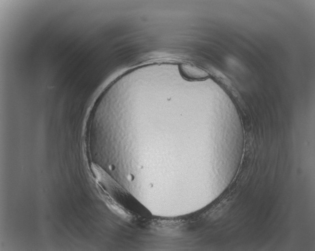 X0000082161427200702092206