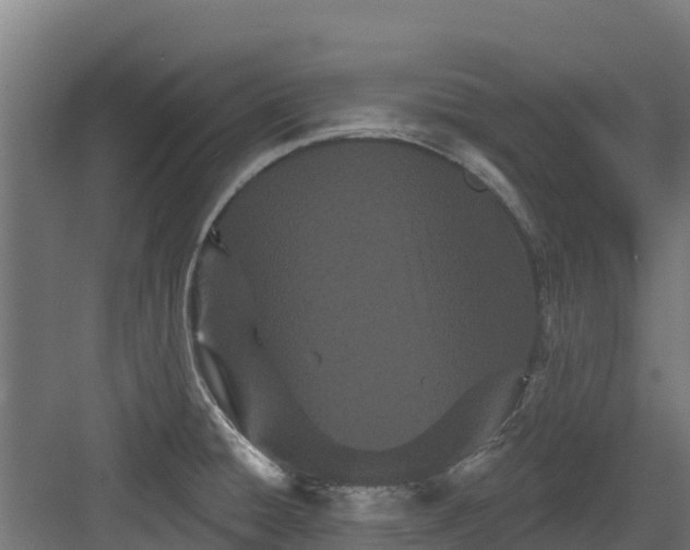 X0000082161428200702092206