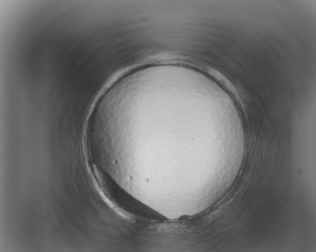 X0000082161429200702092206