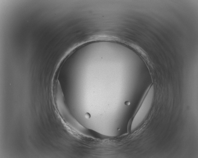 X0000082161430200702092206