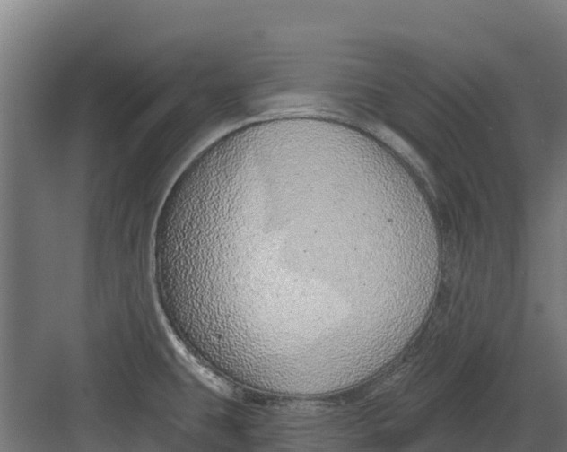 X0000082161431200702092206