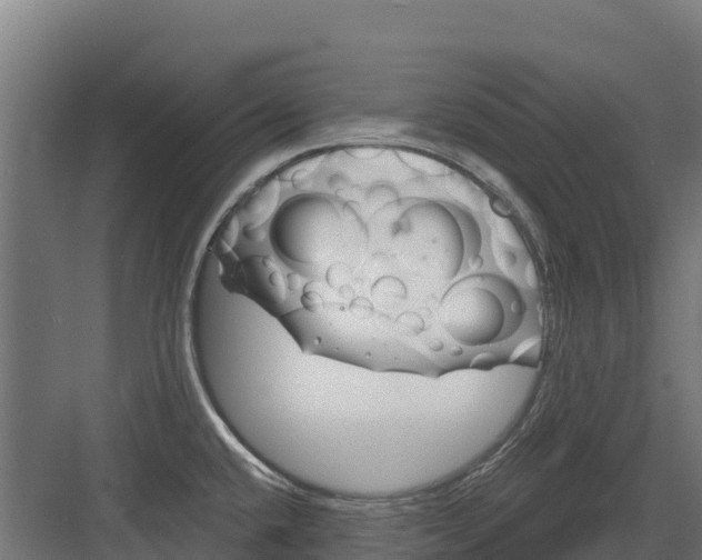 X0000082161432200702092206