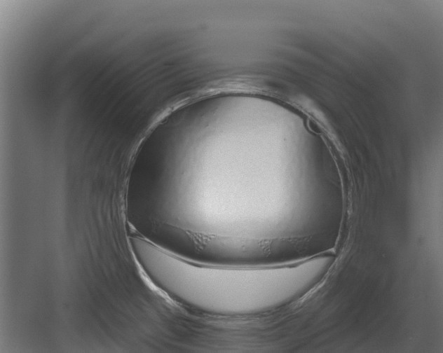 X0000082161433200702092206