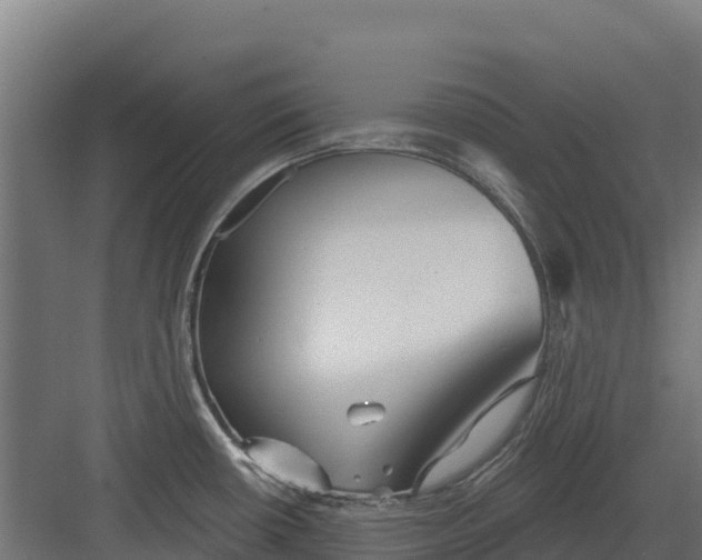 X0000082161434200702092206