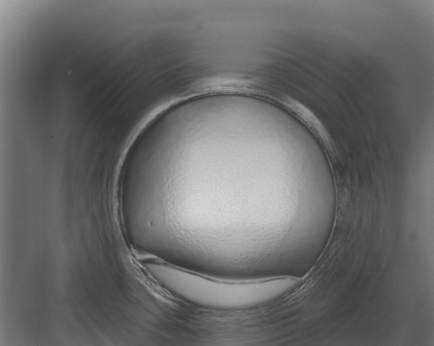 X0000082161435200702092206