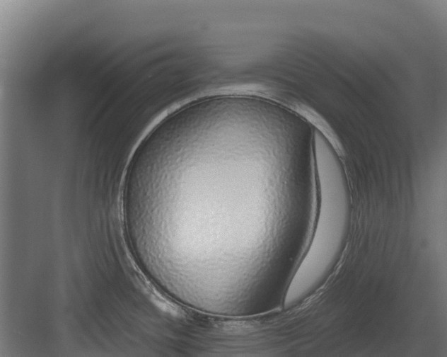 X0000082161436200702092206