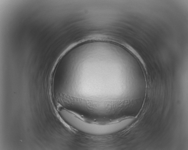 X0000082161437200702092206