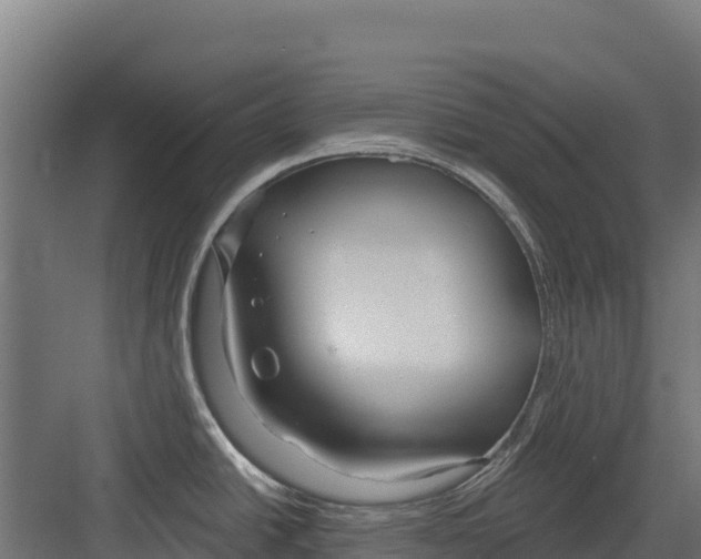 X0000082161438200702092206