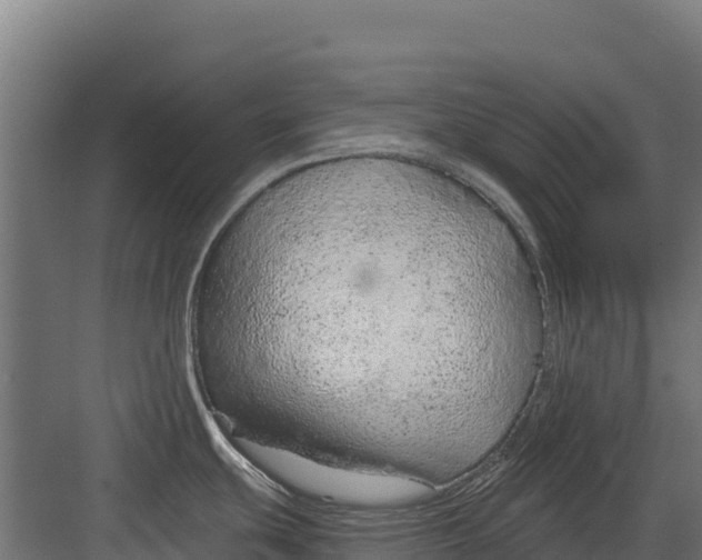 X0000082161439200702092206