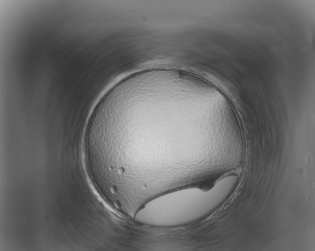 X0000082161440200702092206