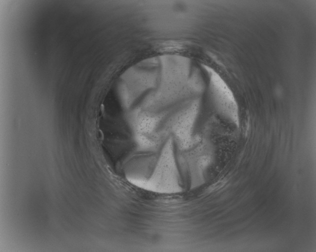 X0000082161441200702092205