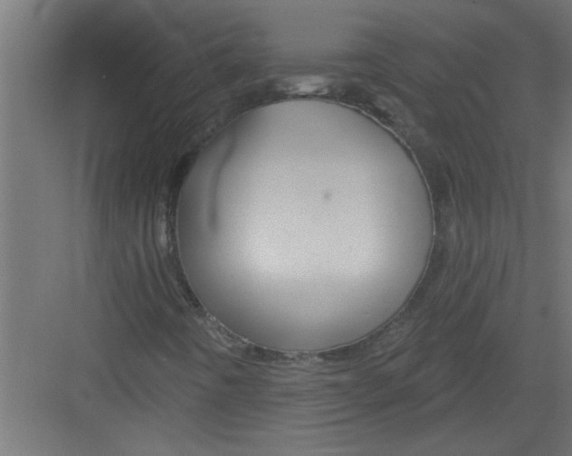 X0000082161442200702092205