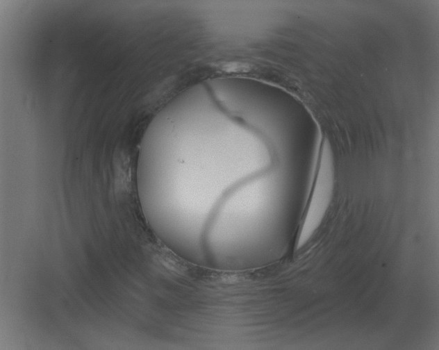 X0000082161443200702092205