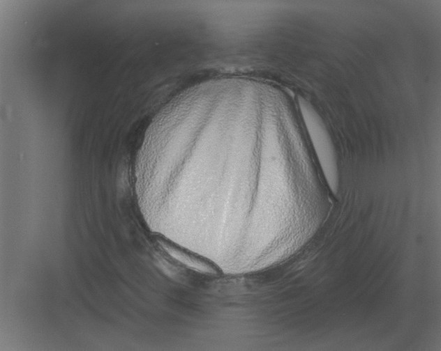 X0000082161444200702092205